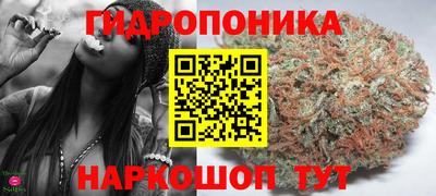 мдпв Пенза