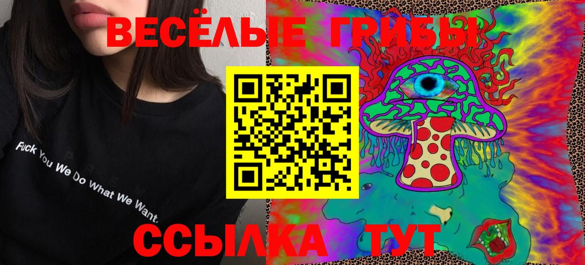 Самара  Псилоцибиновые грибы ЛСД  Вход с VPN 